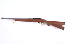 Load image into Gallery viewer, Ruger 10/22 in 22LR SKU: 25584
