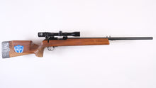 Load image into Gallery viewer, HVA-Carl Gustaf target 22lr
