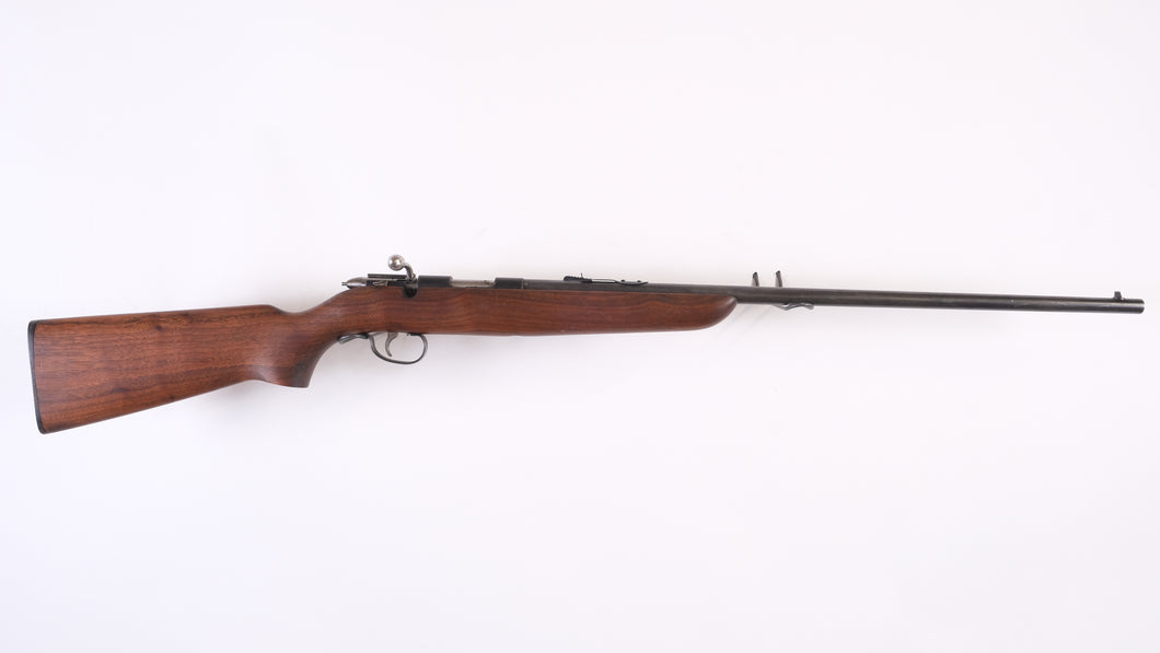 Remington Targetmaster model 510 in 22 long or short