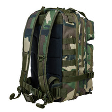 Load image into Gallery viewer, VISM by NcStar - Small Backpack - WoodlAnd Camo
